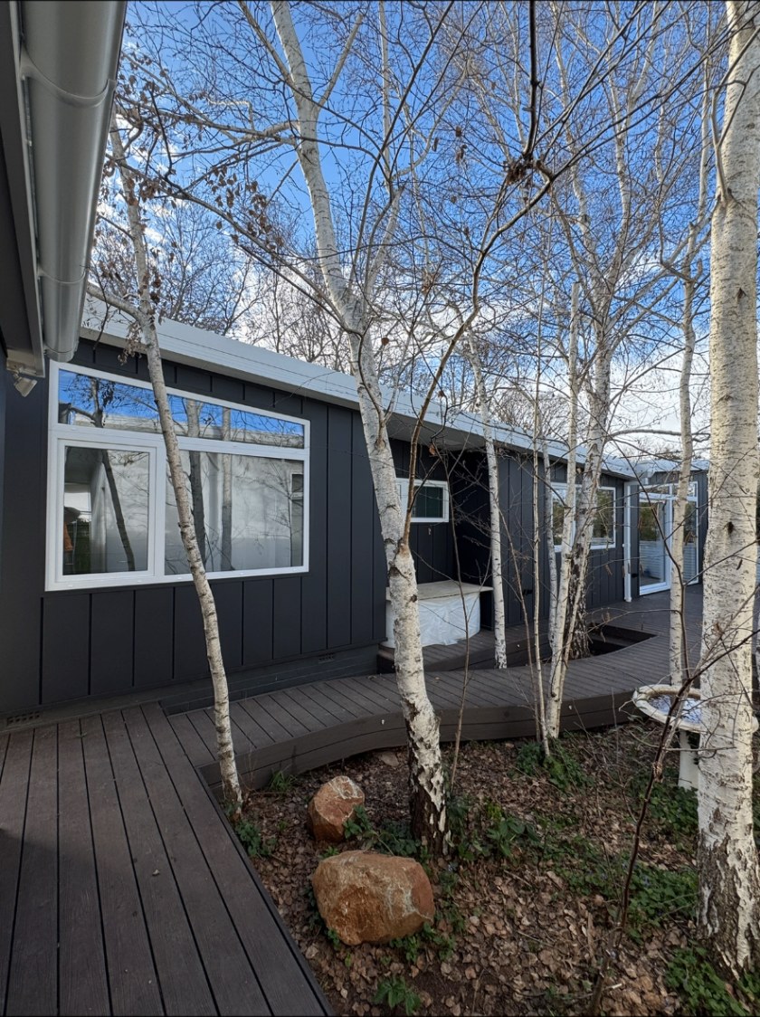 Curved timber deck walkway between charcoal-clad walls and silver birches